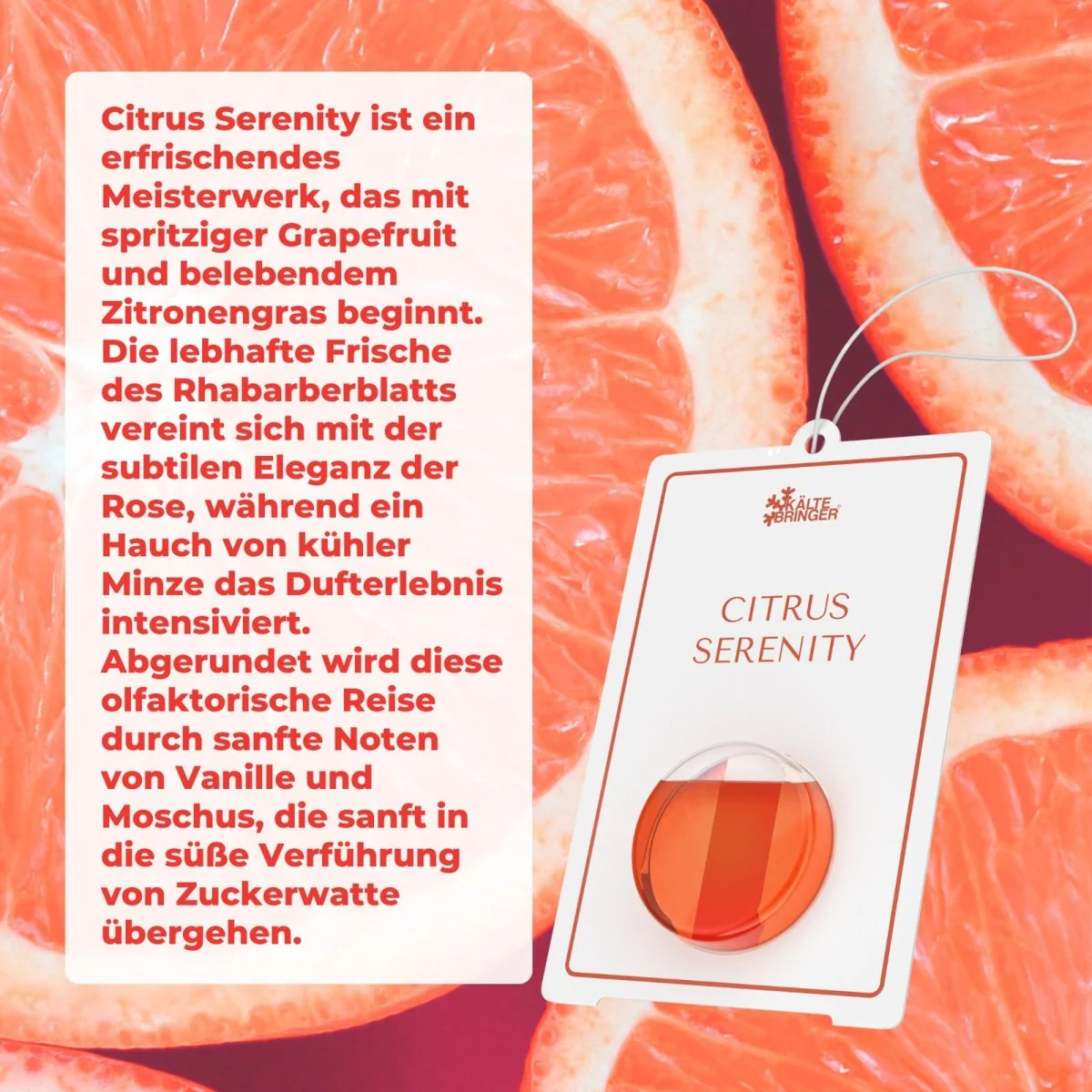 Premium Autoparfüm Autoduft - Image 8